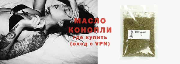 дмт Абаза