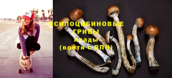 apvp Абдулино