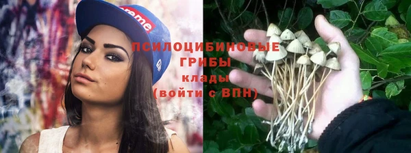 apvp Абдулино