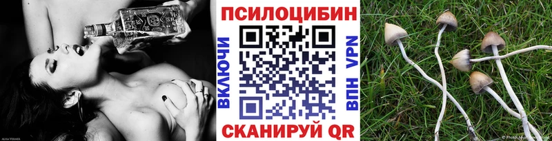 купить наркотики цена Тула Галлюциногенные грибы мицелий